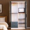 Aarti Steel Wardrobe N-AS-05 | Sleek Mirror Door