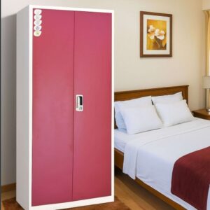 Aarti Steel Wardrobe AS-36 | Premium Dual Door |