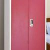 Aarti Steel Wardrobe AS-36 | Premium Dual Door |